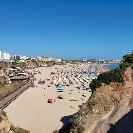 Rocha Varandas Amazing *